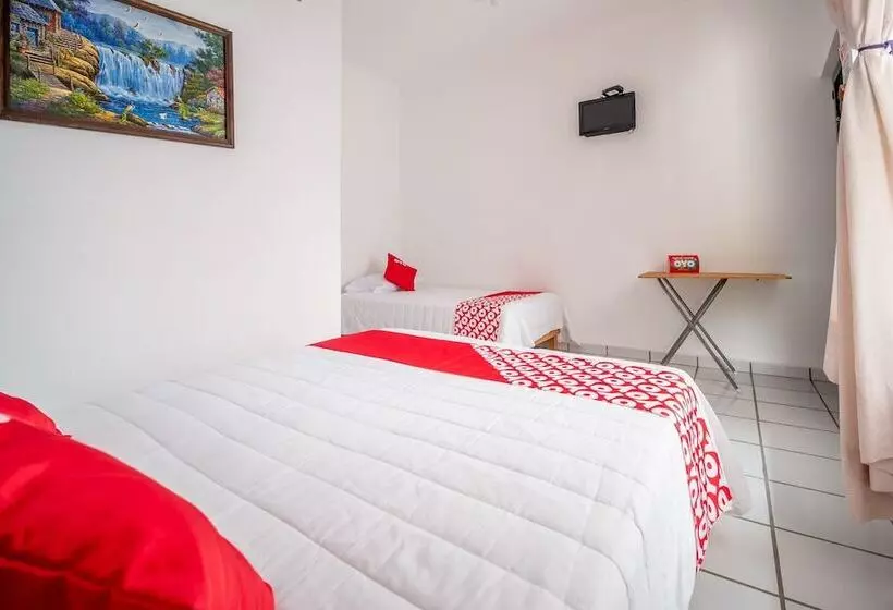 ホテル Oyo  Posada San Vicente