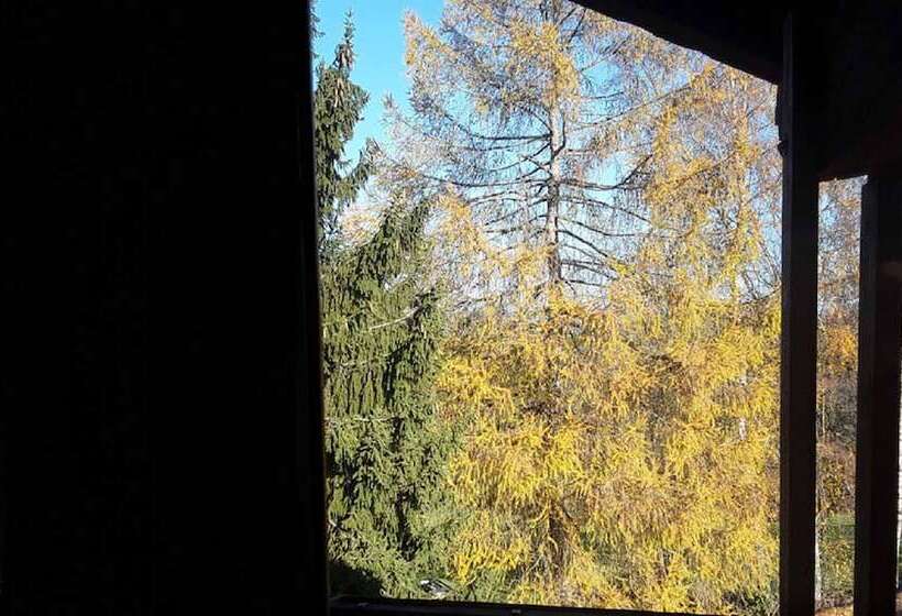 Naturfreundepension Hagenberger Für Erwachsene