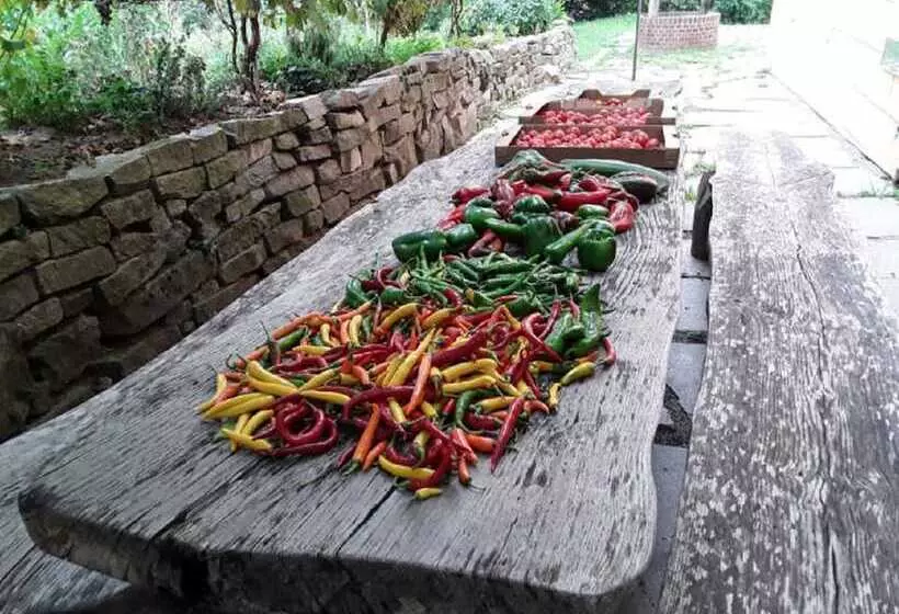 Naturfreundepension Hagenberger Für Erwachsene