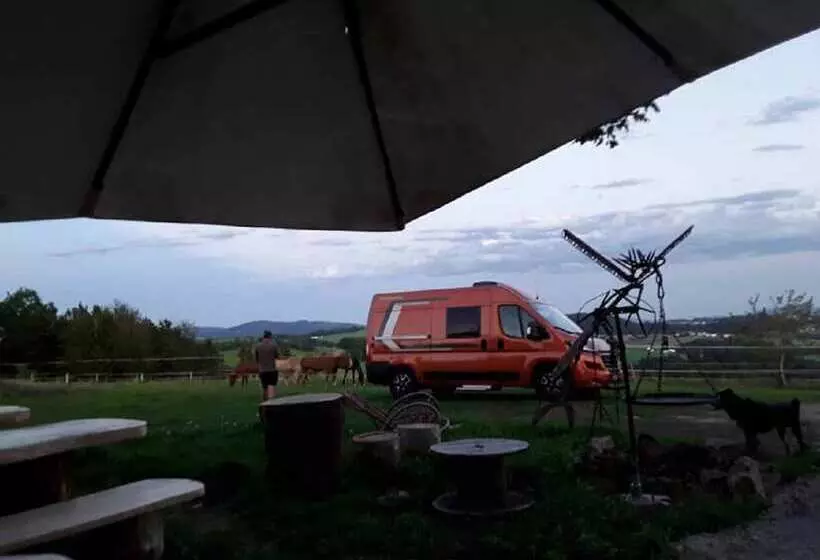 Naturfreundepension Hagenberger Für Erwachsene