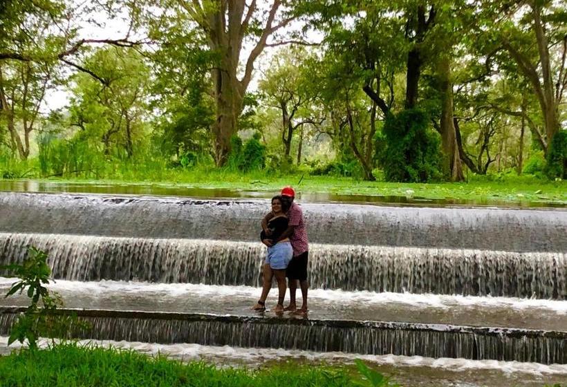 פנסיון Wilpattu Green Cabin