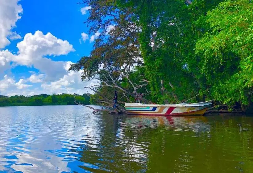 Majatalo Wilpattu Green Cabin