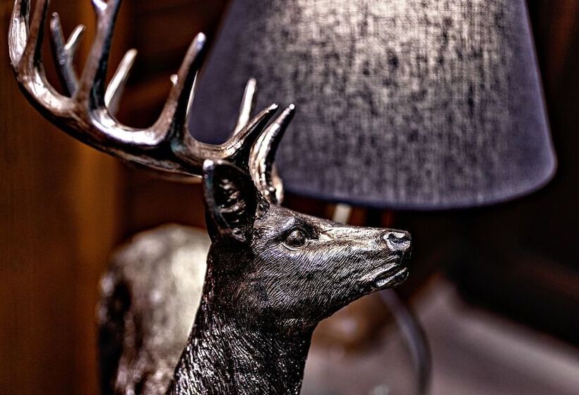 Villa Zollhaus Bed & Breakfast