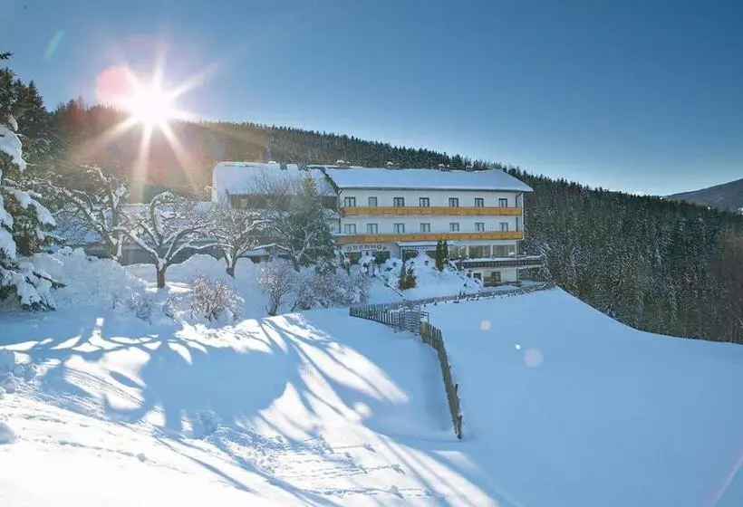 ユースホステル Gasthof Pension ödenhof