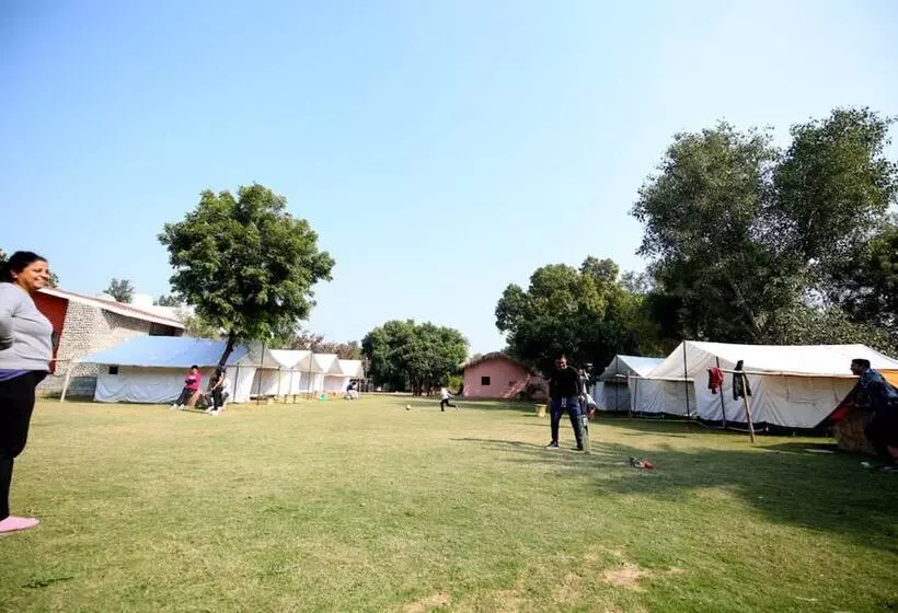 Hotelli Blowsom Farms