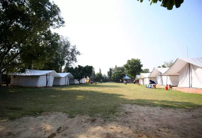 Hotelli Blowsom Farms