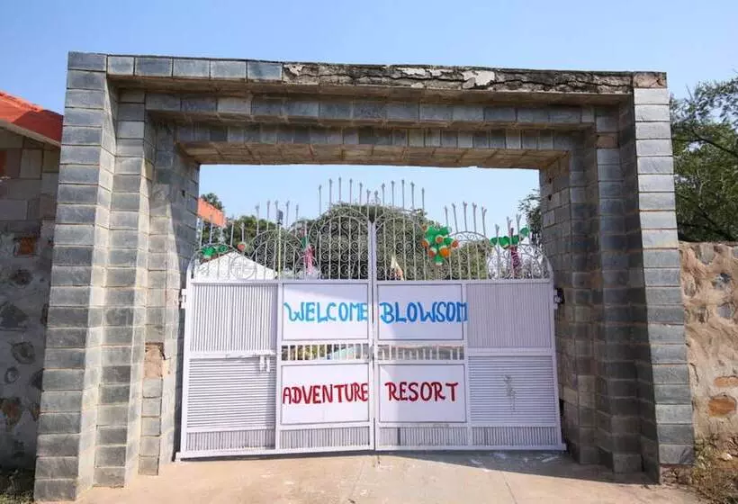 Hotelli Blowsom Farms