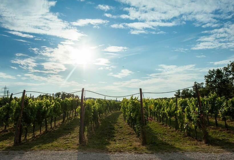 Отель Cardo Boutique&wine Resort