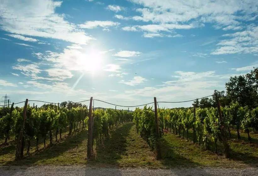 Hotelli Cardo Boutique&wine Resort