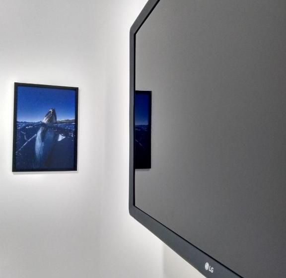 膳宿费 Zen Pousada