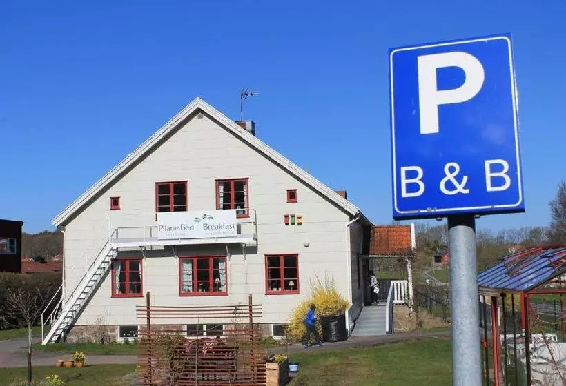 Pilane B&b