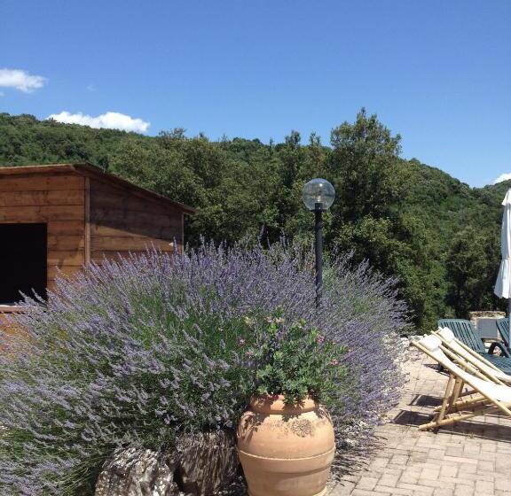 Podere La Castellina