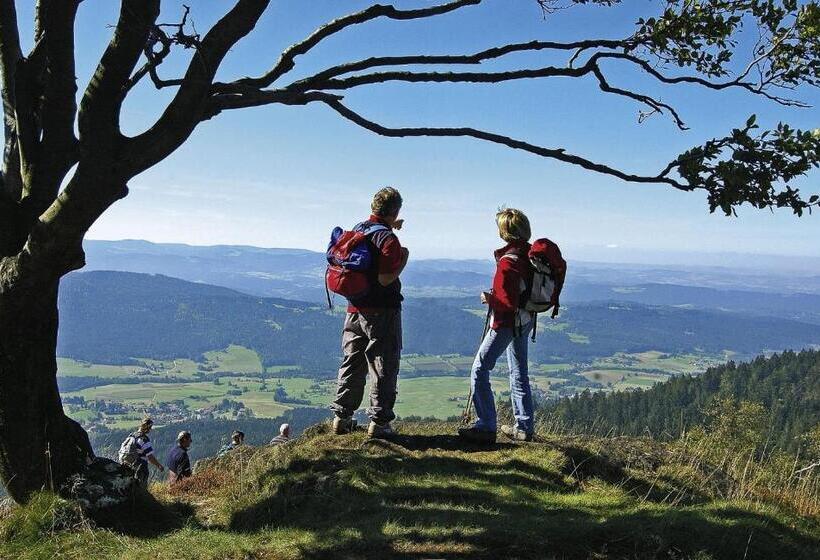 Hotelli Amberger Hof