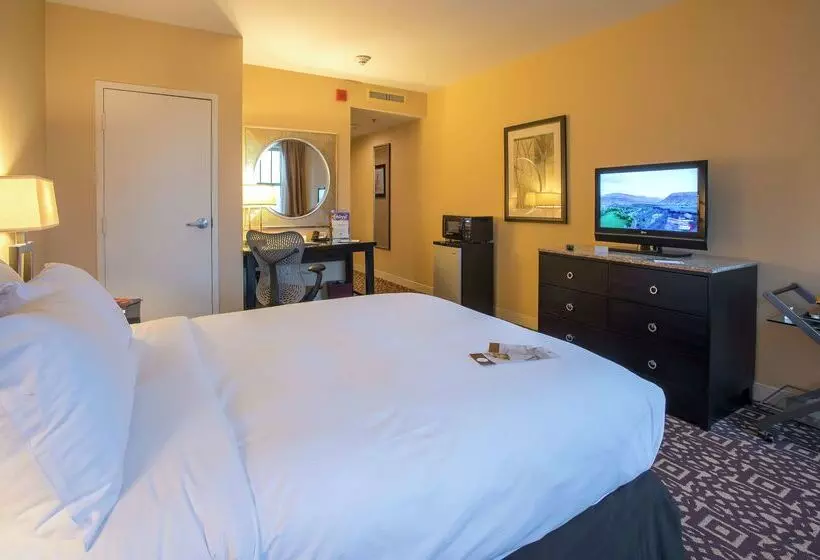 Doubletree Suites By Hilton Hotel Detroit Downtown Fort Shelby