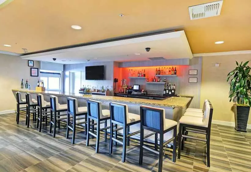 酒店 Embassy Suites By Hilton Valencia