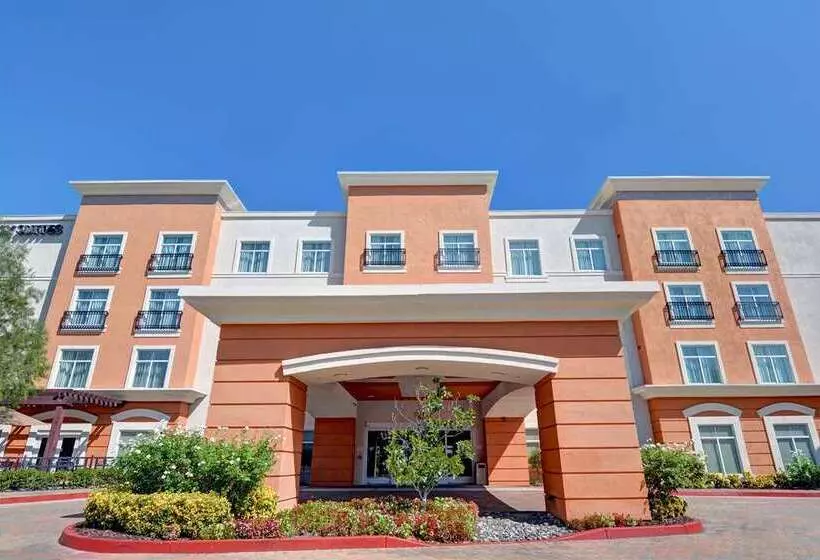 酒店 Embassy Suites By Hilton Valencia