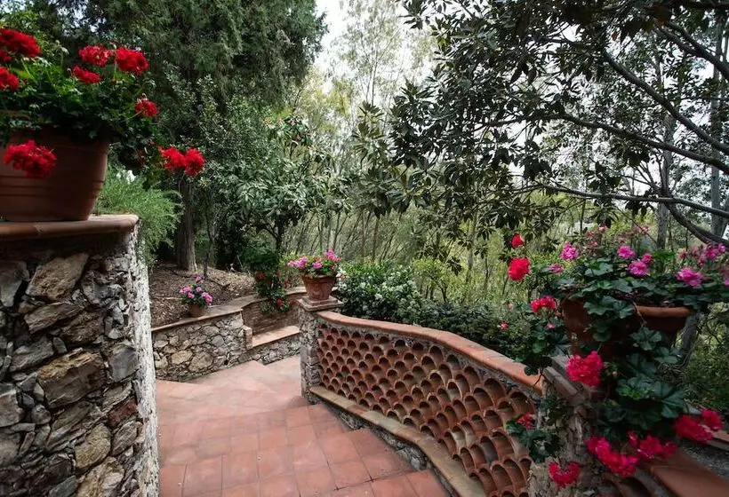 Отель Excelsior Palace