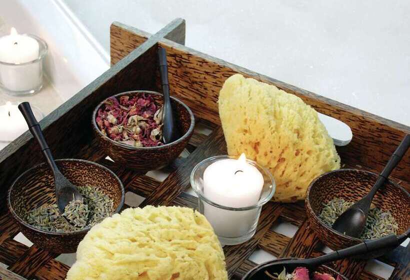 فندق Beach House Fort Lauderdale, a Hilton Resort