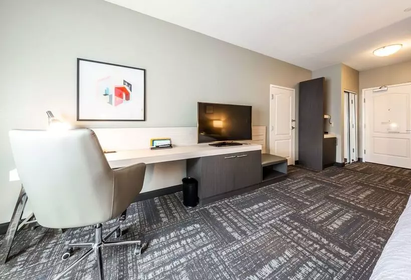 Отель Hilton Garden Inn Beaumont, Tx