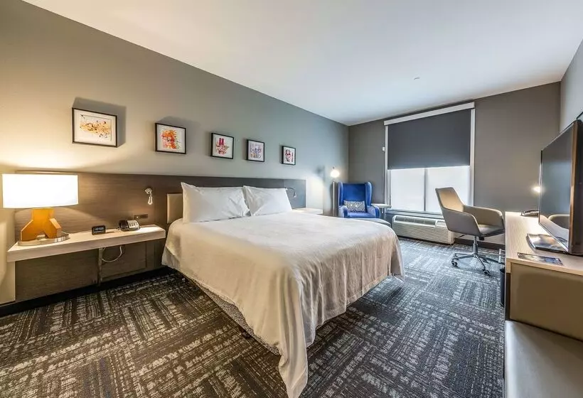 Отель Hilton Garden Inn Beaumont, Tx