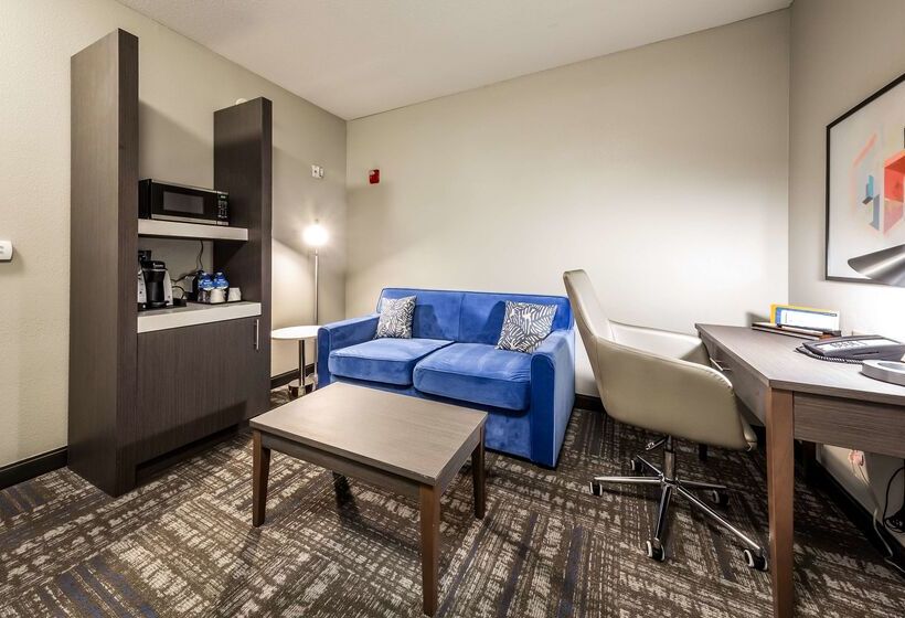 Отель Hilton Garden Inn Beaumont, Tx