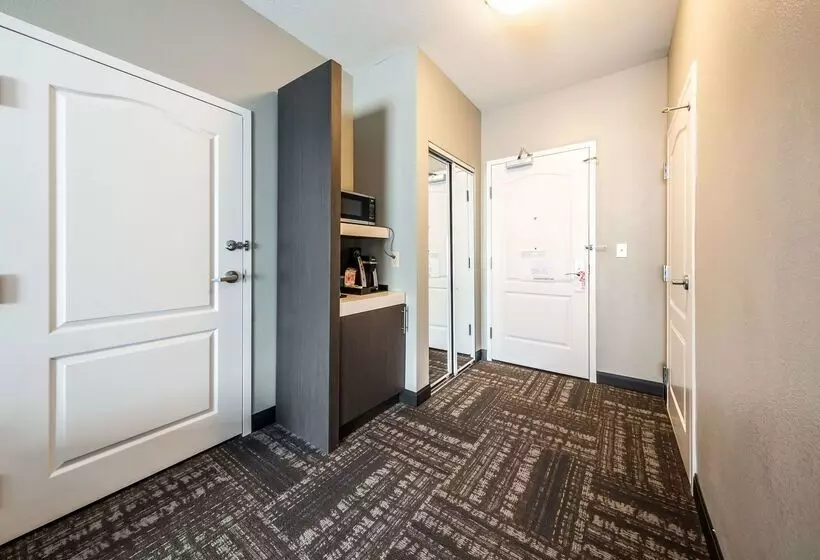 Отель Hilton Garden Inn Beaumont, Tx