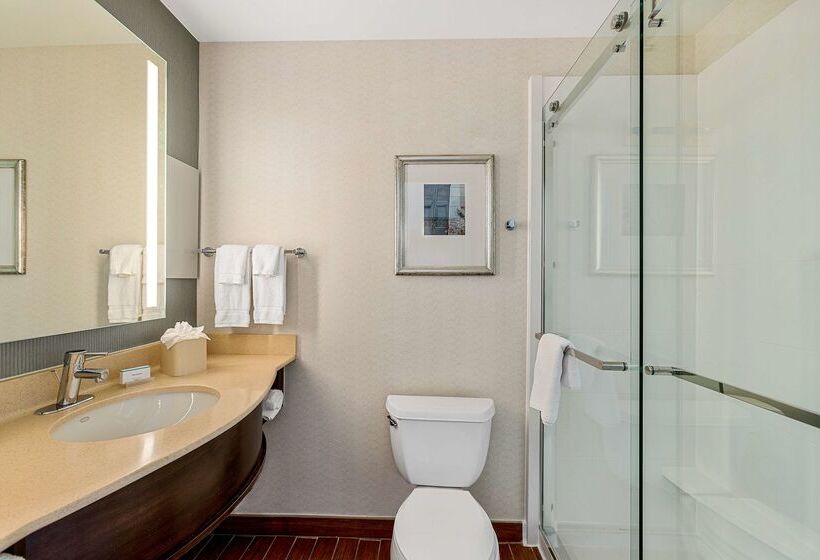 فندق Hilton Garden Inn New Orleans French Quarter/cbd