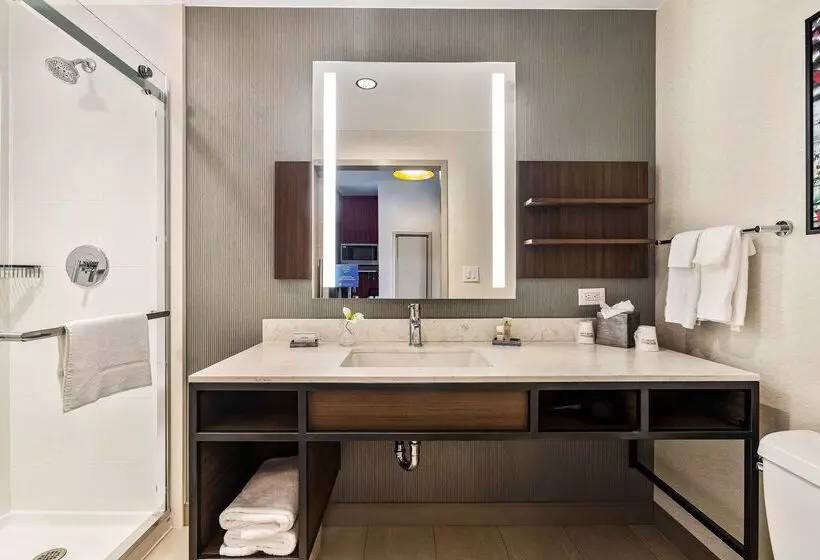 هتل Hilton Garden Inn New Orleans French Quarter/cbd