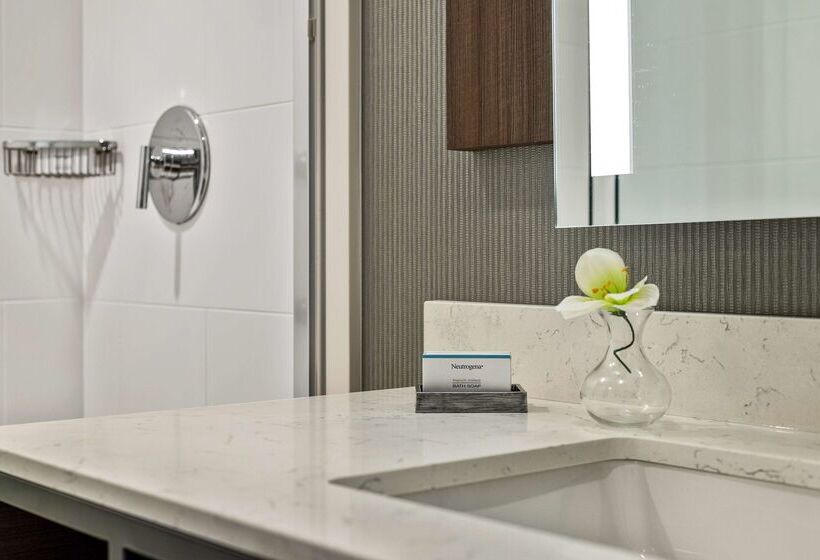 فندق Hilton Garden Inn New Orleans French Quarter/cbd