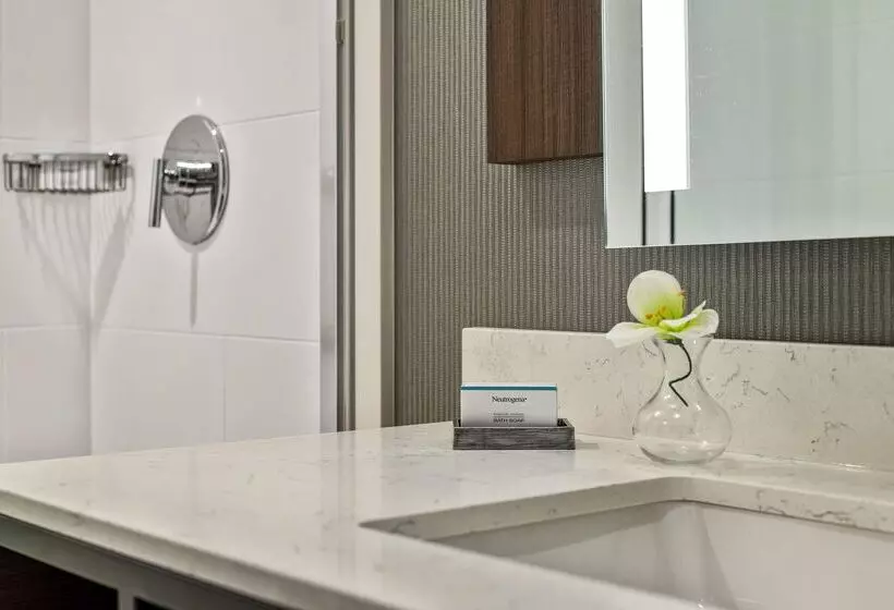 هتل Hilton Garden Inn New Orleans French Quarter/cbd