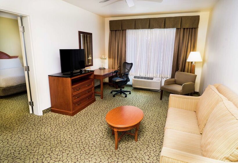 Otel Hilton Garden Inn Ontario/rancho Cucamonga