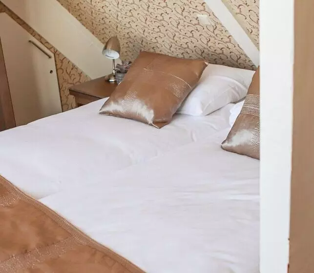 בית מלון כפרי Johannes Vermeer Delft