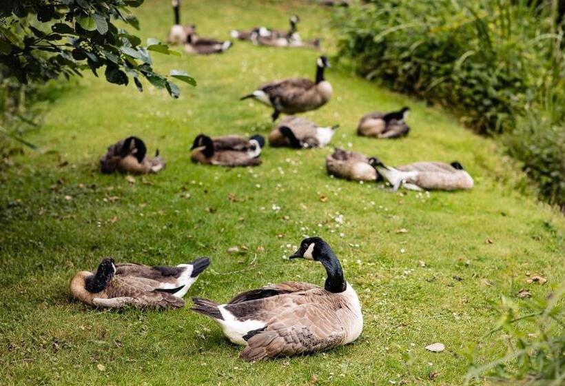 호텔 Landgoed Overste Hof