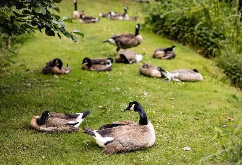 בית מלון כפרי Landgoed Overste Hof