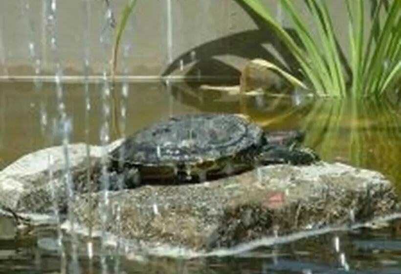 Aamiaismajoitus (B&B) Verba Tanya