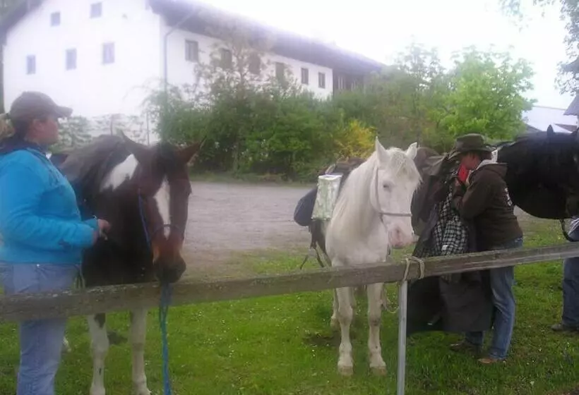 Hotelli Gasthaus Zum Späth