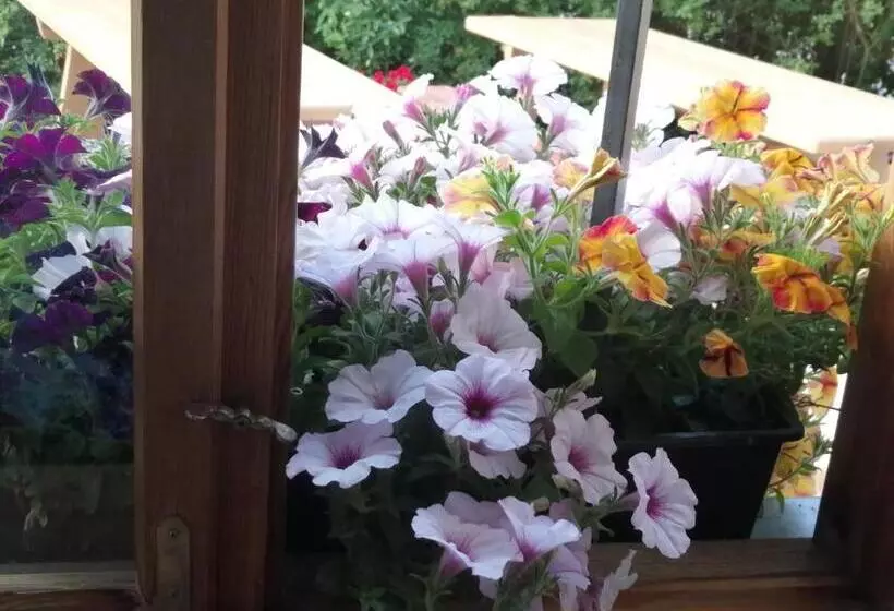 Hotelli Gasthaus Zum Späth