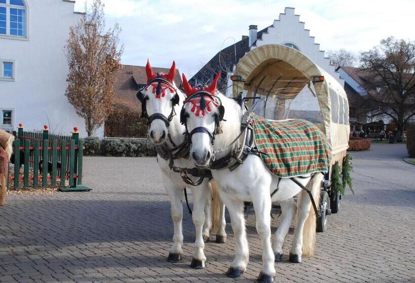 Отель Hofgut Albführen