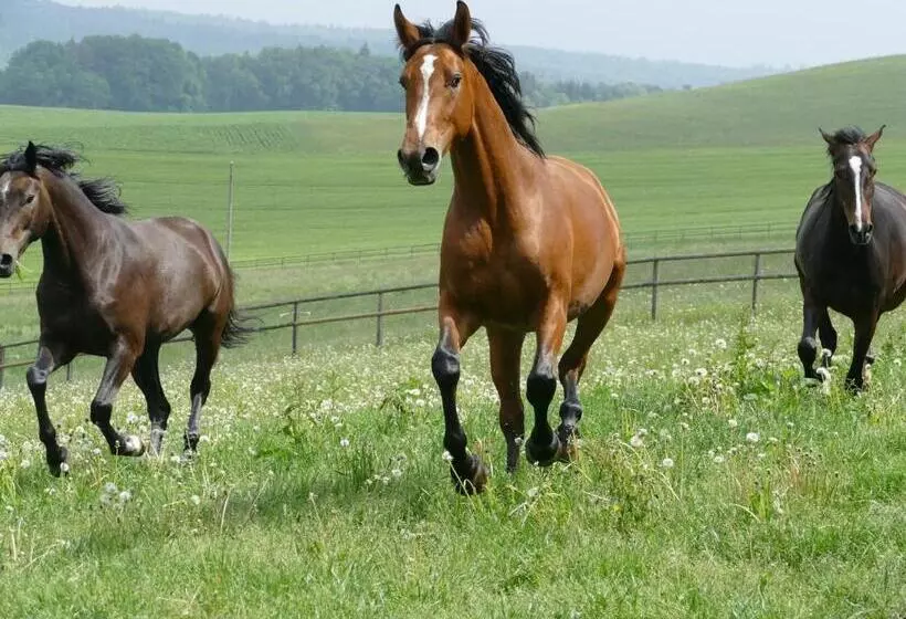 Hotelli Hofgut Albführen