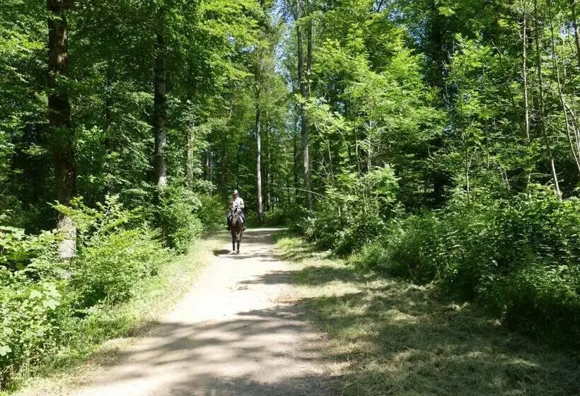 Hotelli Hofgut Albführen