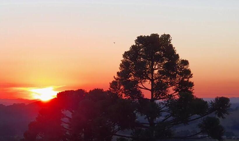 فندق Lf By Feliciano