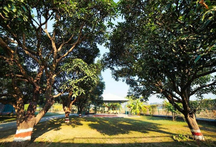 Отель Sukoon   A Wellness Resort, Uttarakhand