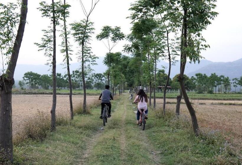 Отель Sukoon   A Wellness Resort, Uttarakhand