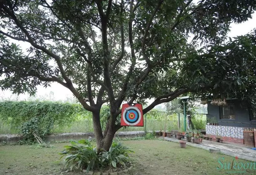 Hotelli Sukoon   A Wellness Resort, Uttarakhand