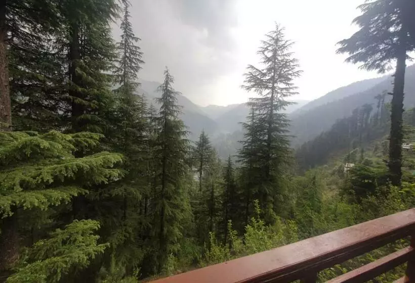 پانسیون Freebird Nest Jibhi