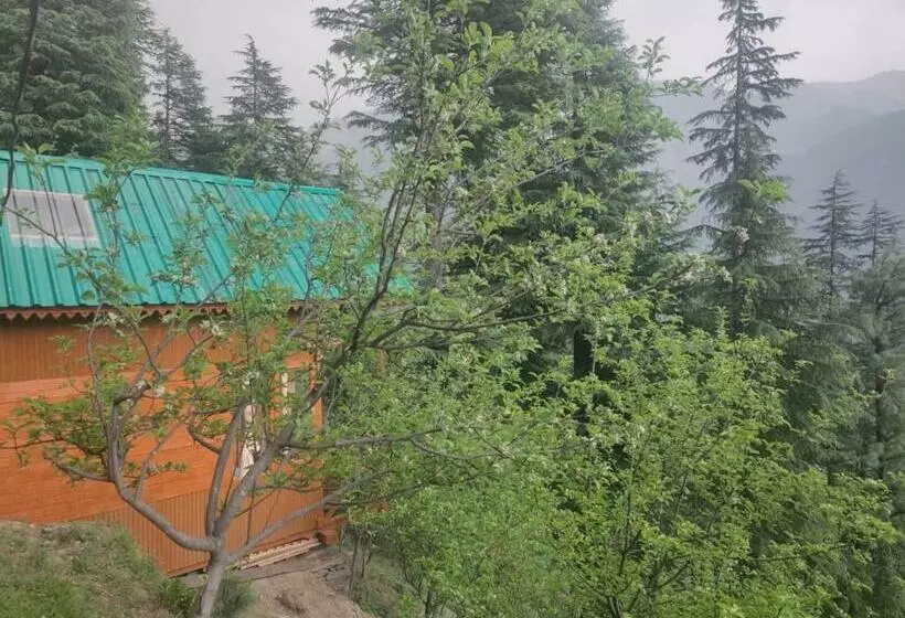 پانسیون Freebird Nest Jibhi