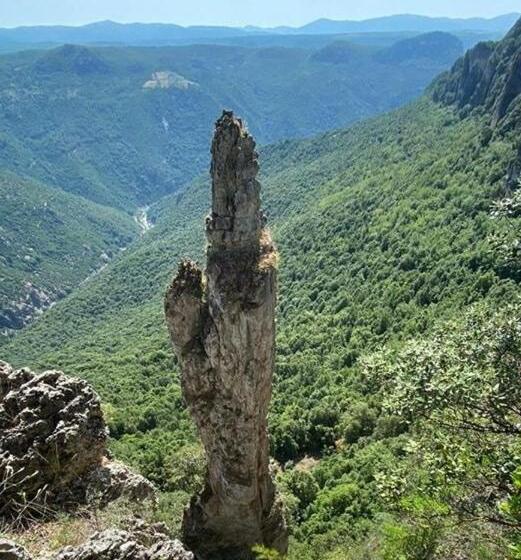 Пансион Sa Stiddiosa Guesthouse