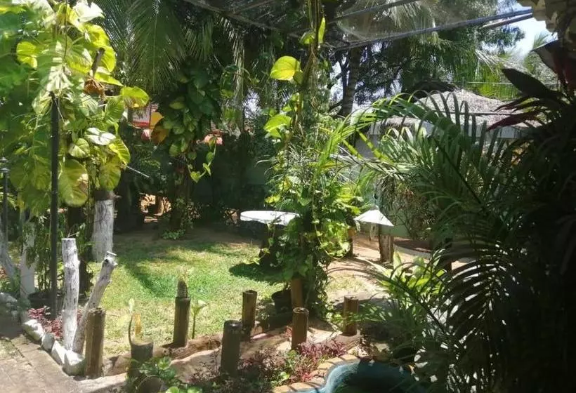 ベッドアンドブレックファースト Beni Beach Resort Batticaloa, Sri Lanka
