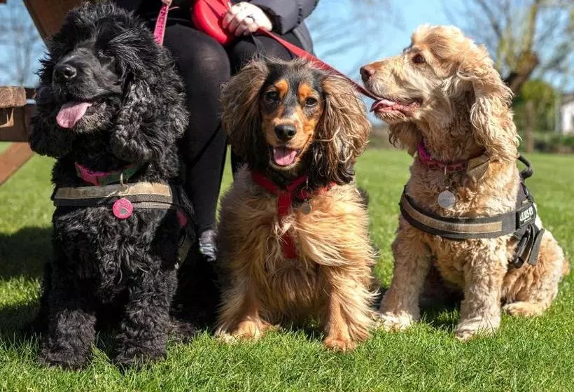 Aamiaismajoitus (B&B) The Ferry Boat Inn