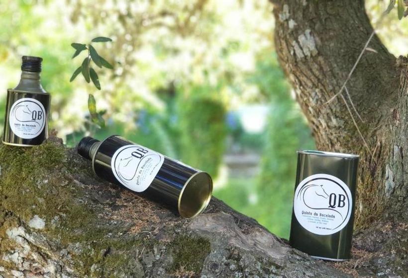 호텔 Quinta Da Bacelada
